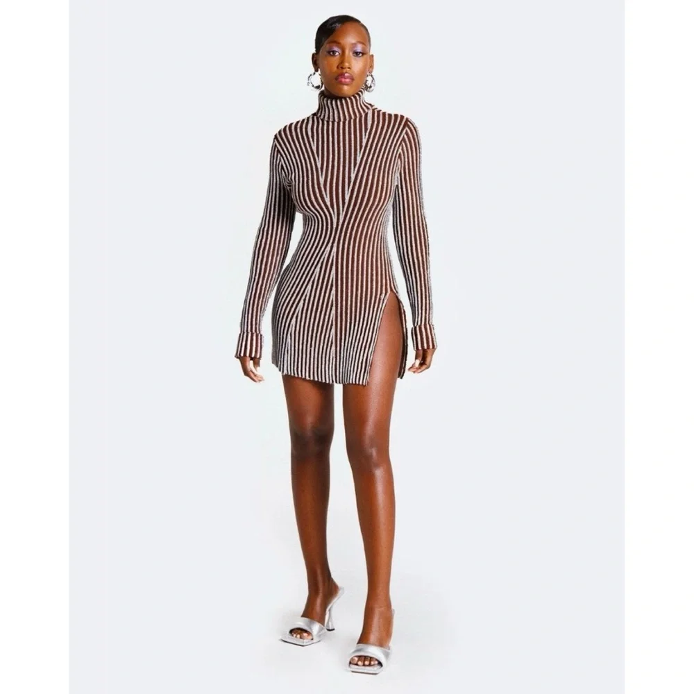 Hanifa Cici Knit Mini Dress (Sz S) Ribbed Long Sleeve Turtleneck Brown Silver - Picture 2 of 16